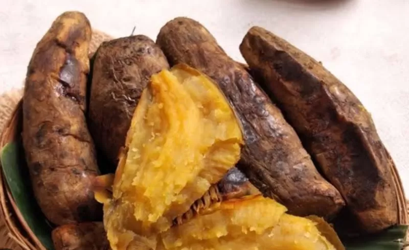 Ubi cilembu matang